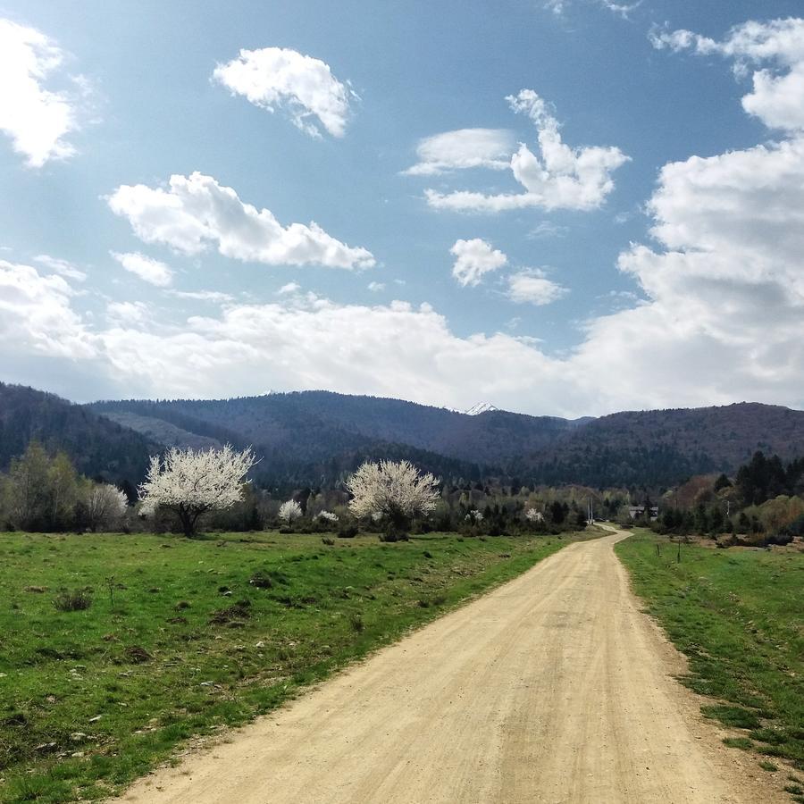Pensiunea Stella Dragus Bagian luar foto